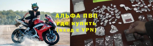 МДПВ Новозыбков