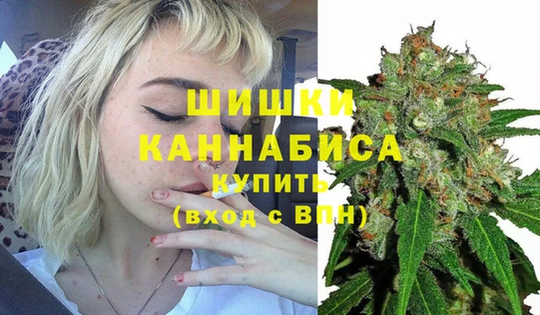 спиды Новокубанск