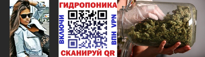 МЕГА ТОР  Лесозаводск  Бошки марихуана планчик 